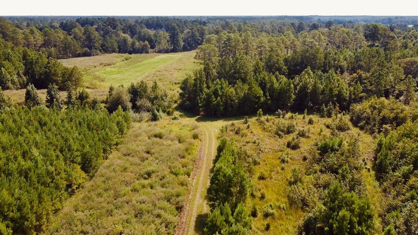 167.9 acres in SC, 29922 LandWatch