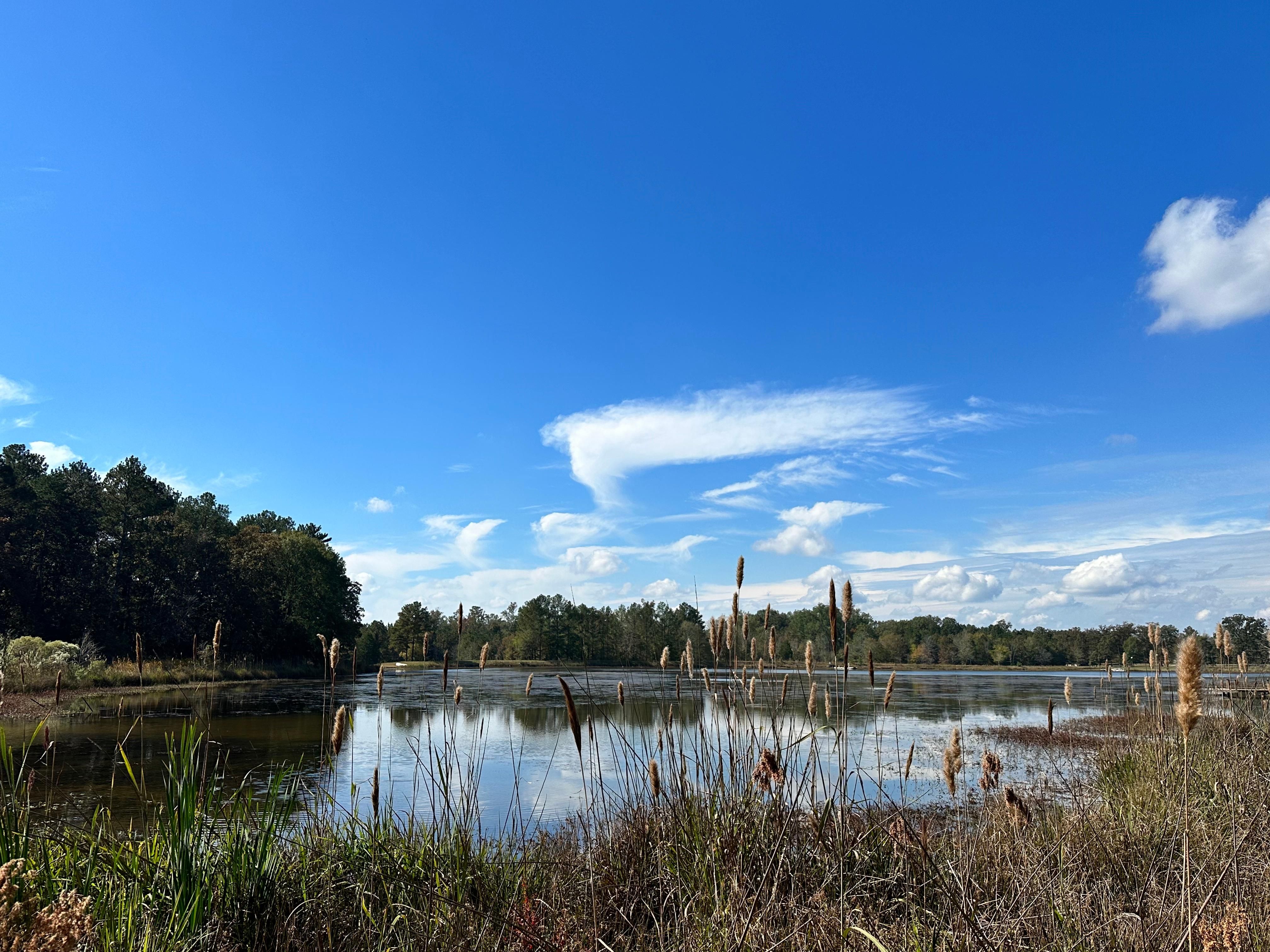 Ashville, Saint Clair County, AL Farms and Ranches for sale Property ID 418047442 LandWatch