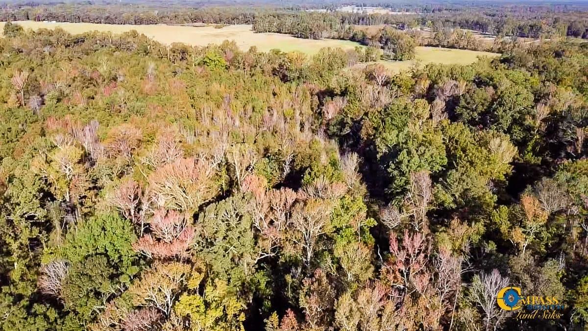 Calmer, Cleveland County, AR Recreational Property, Timberland Property, Hunting Property for