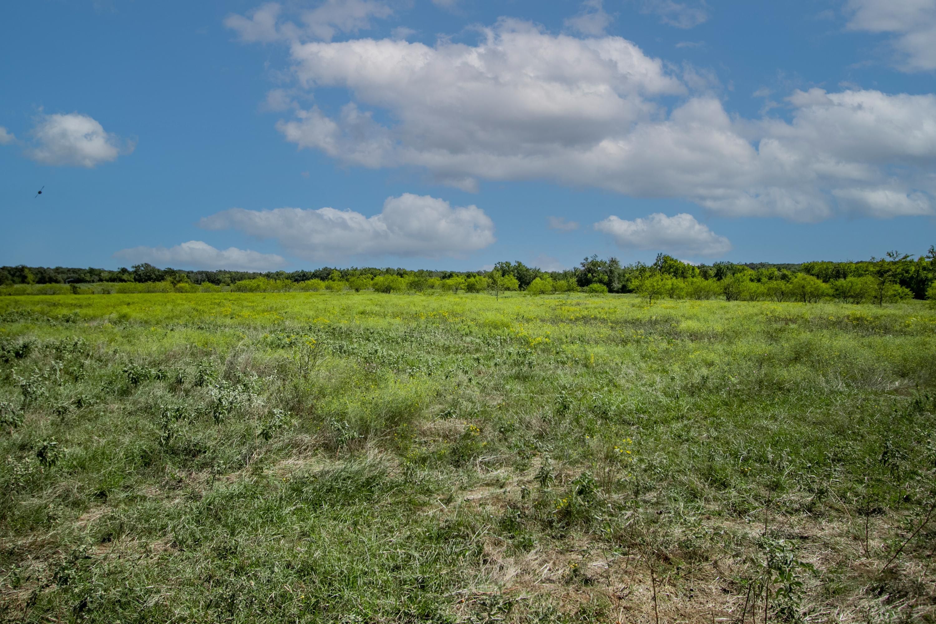 3364 County Road 328, Caldwell, TX 77836 LandWatch