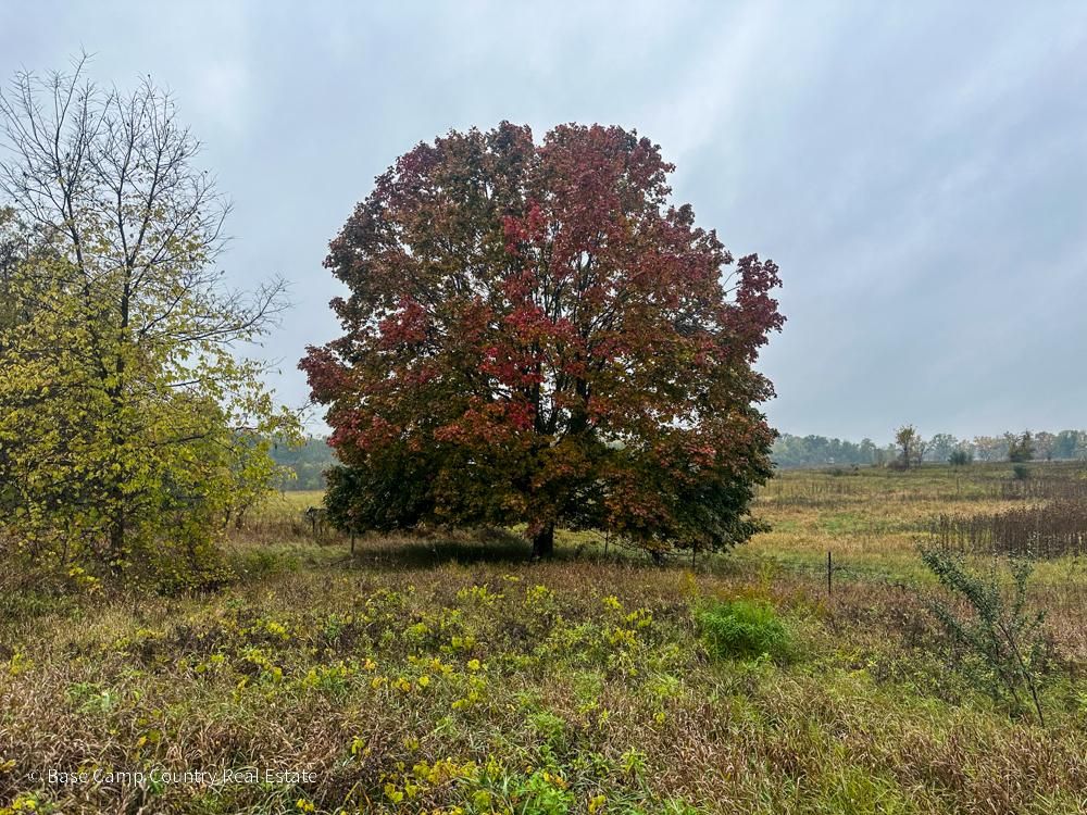Angola, Steuben County, IN Recreational Property, Hunting Property for