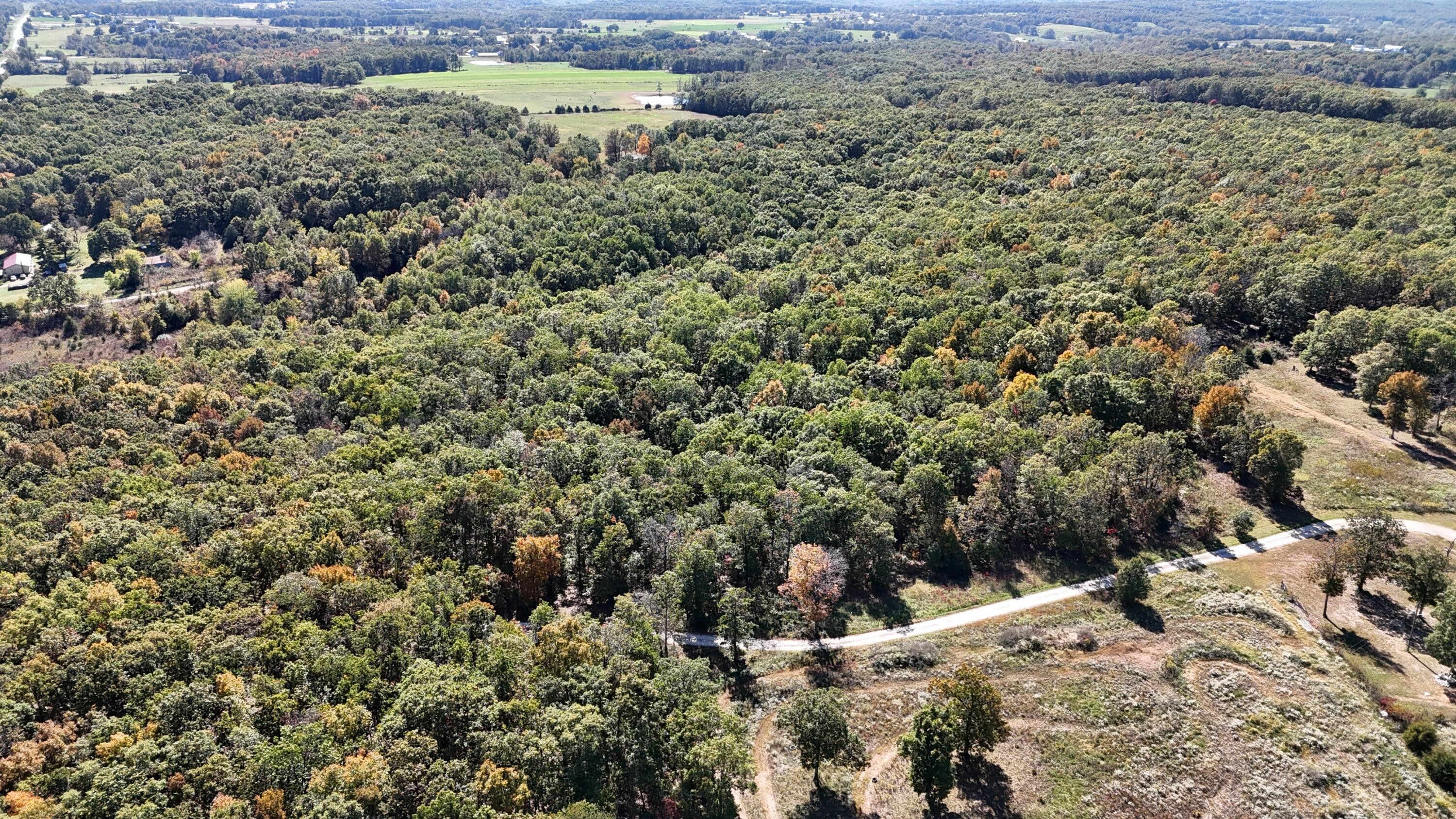 Seymour, ster County, MO Undeveloped Land for sale Property ID