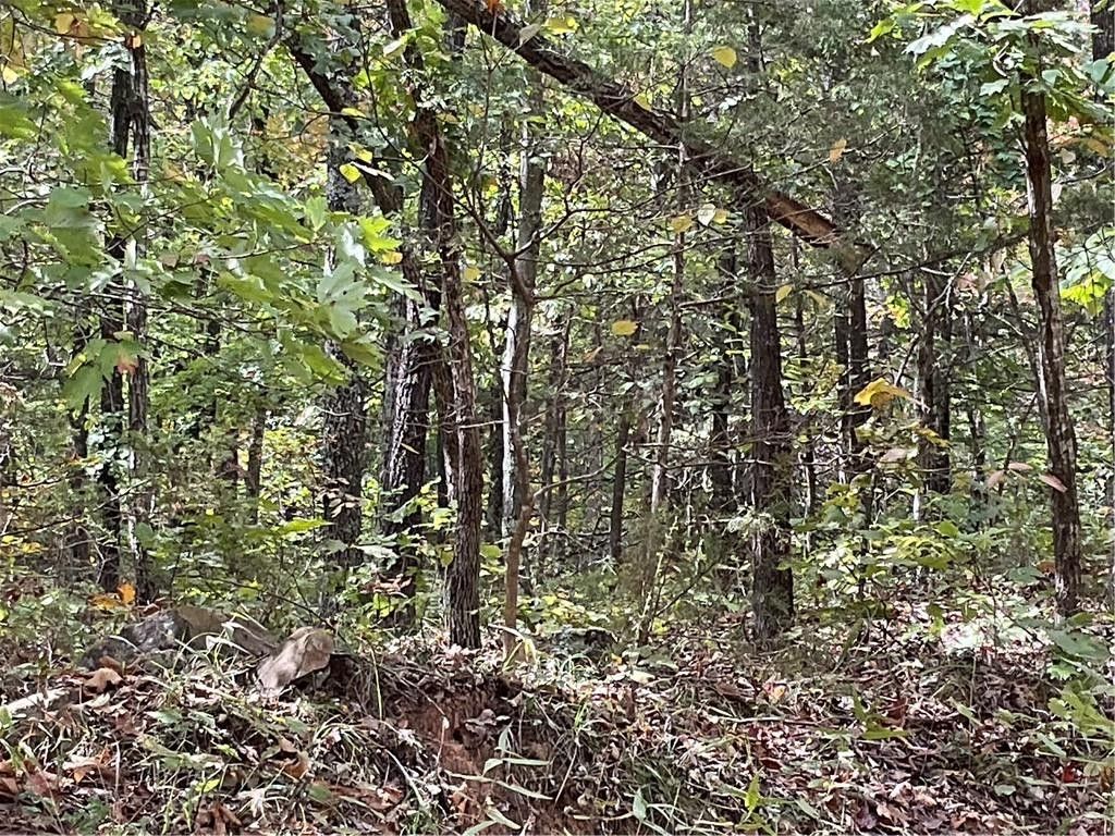 Combs, Madison County, AR Undeveloped Land for sale Property ID
