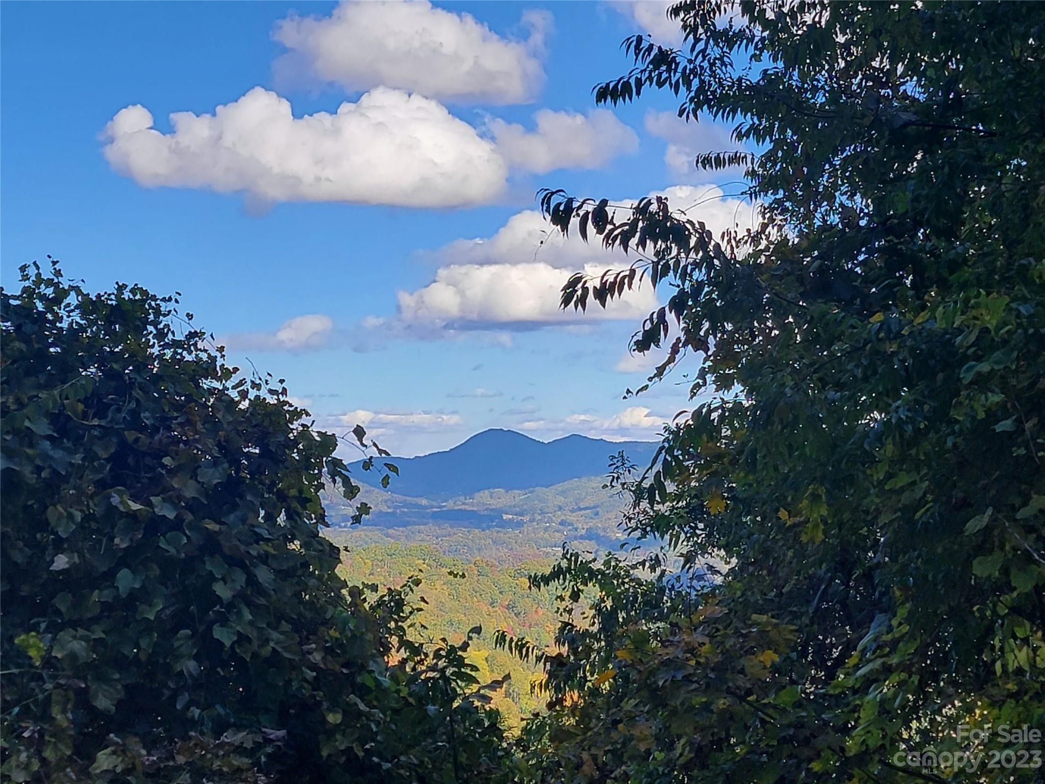 Waynesville, Haywood County, NC Undeveloped Land for sale Property ID