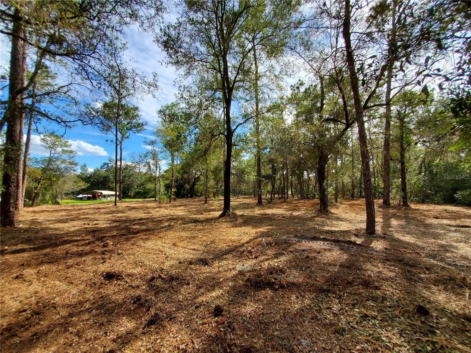 Dunnellon, Marion County, FL Undeveloped Land, Homesites for sale