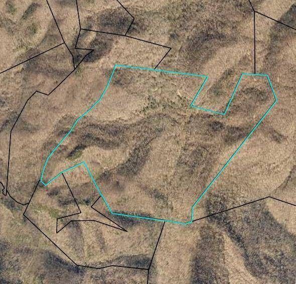 Monticello, Wayne County, KY Undeveloped Land for sale Property ID