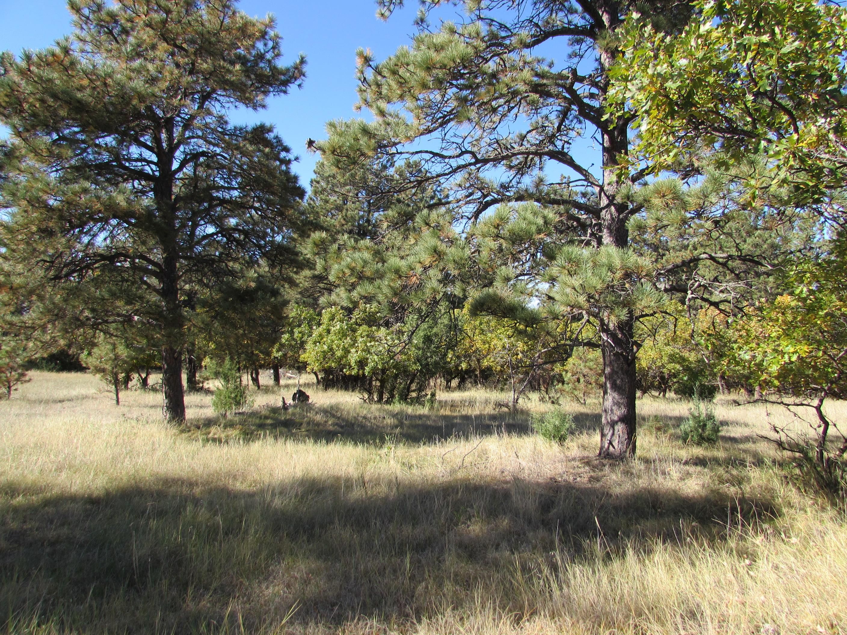 37.2 acres in Hulett, WY, 82720 LandWatch