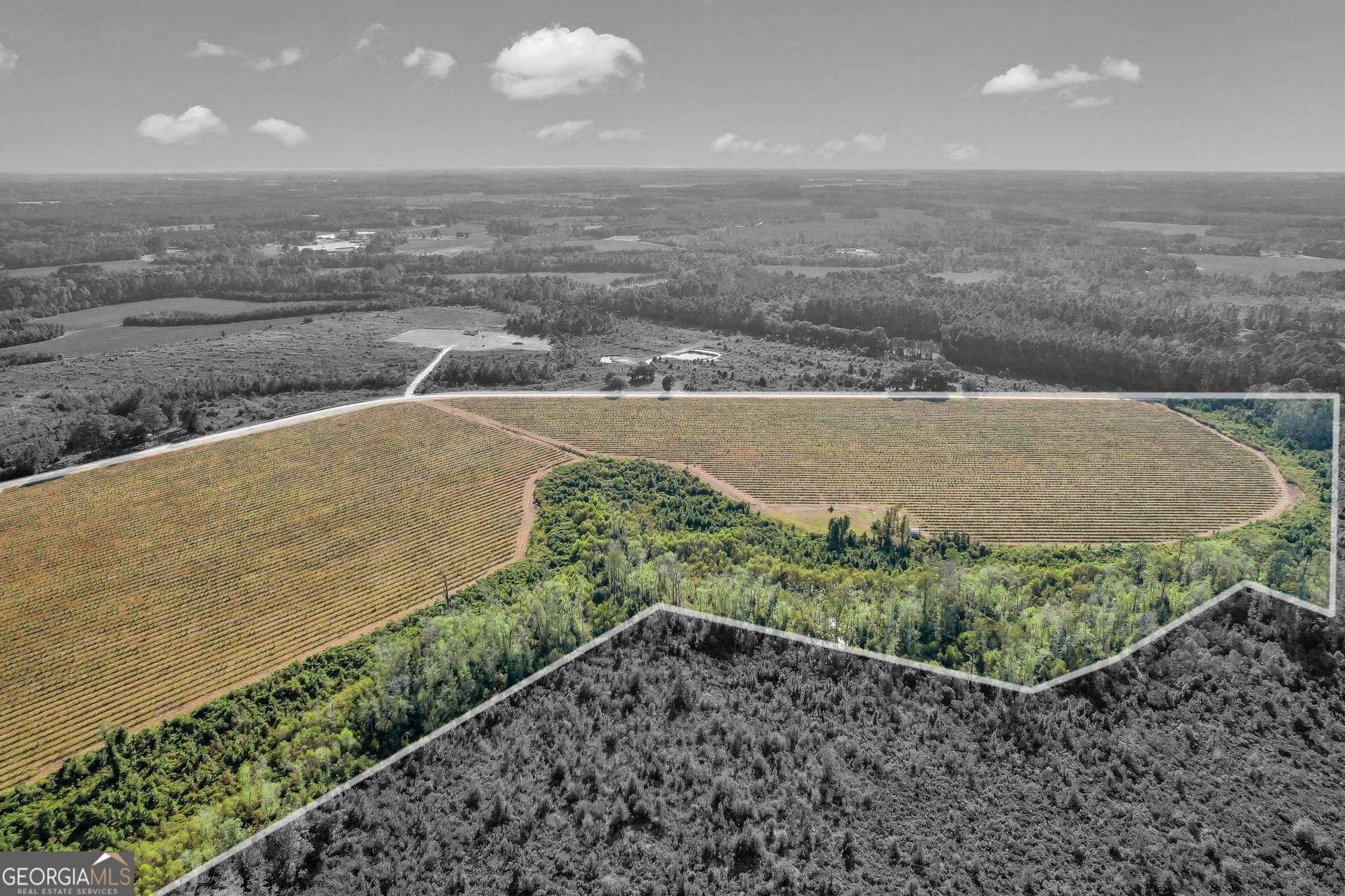 Baxley, Appling County, GA Farms and Ranches for sale Property ID