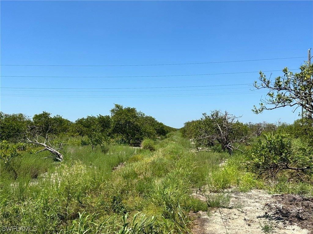 Labelle, Hendry County, FL Undeveloped Land, Lakefront Property