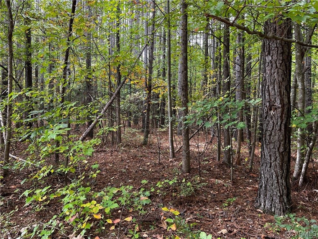 Jetersville, Amelia County, VA Undeveloped Land for sale Property ID