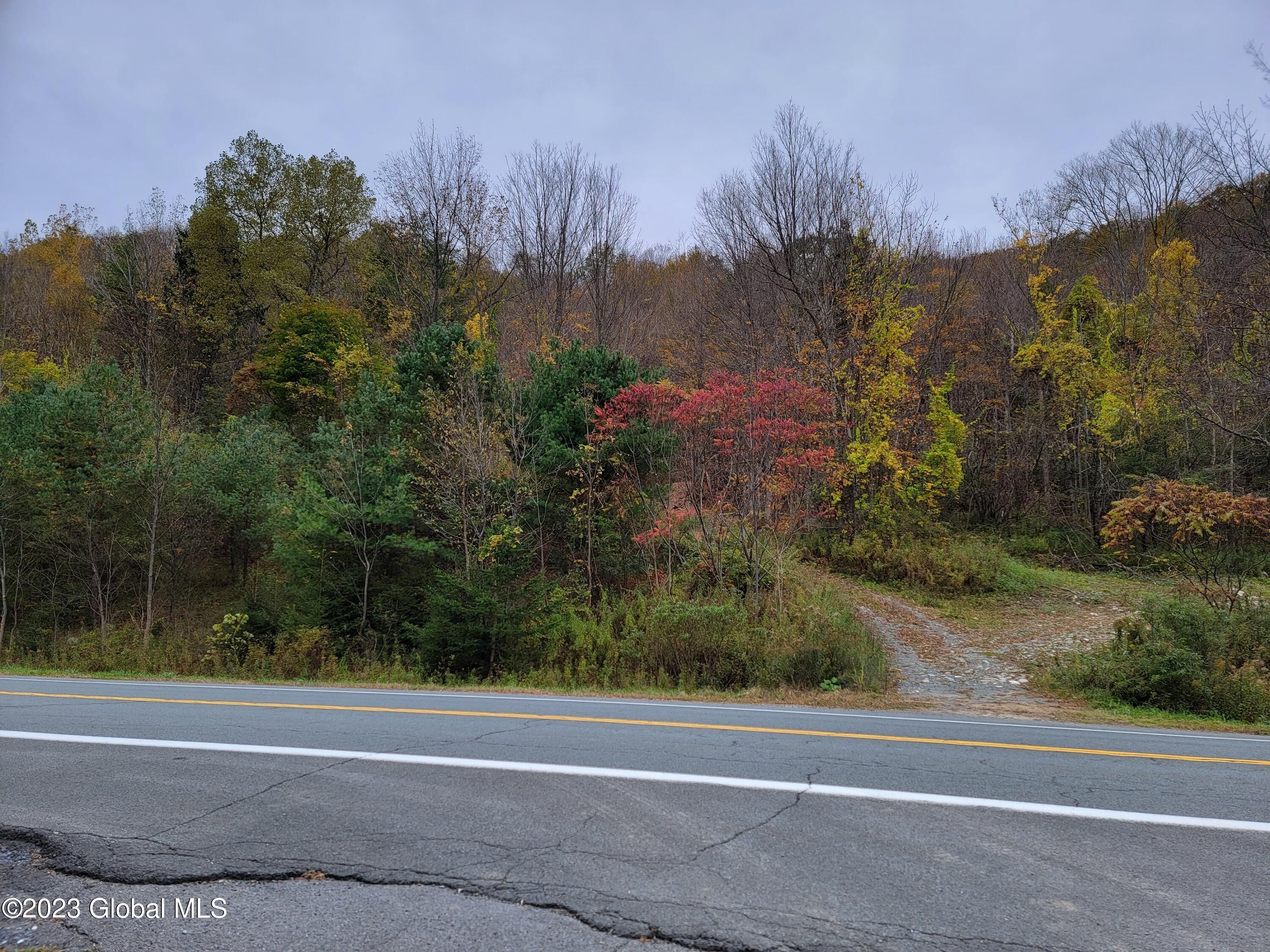 Berlin, Rensselaer County, NY Undeveloped Land for sale Property ID