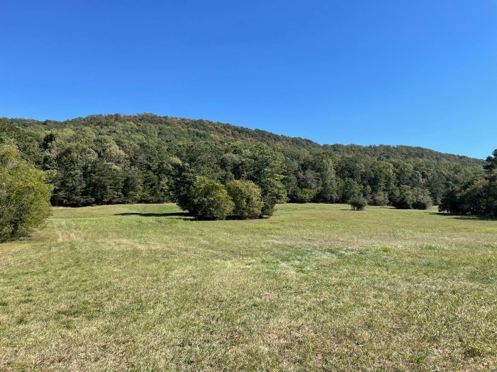 Rock Spring, Walker County, GA Undeveloped Land for sale Property ID