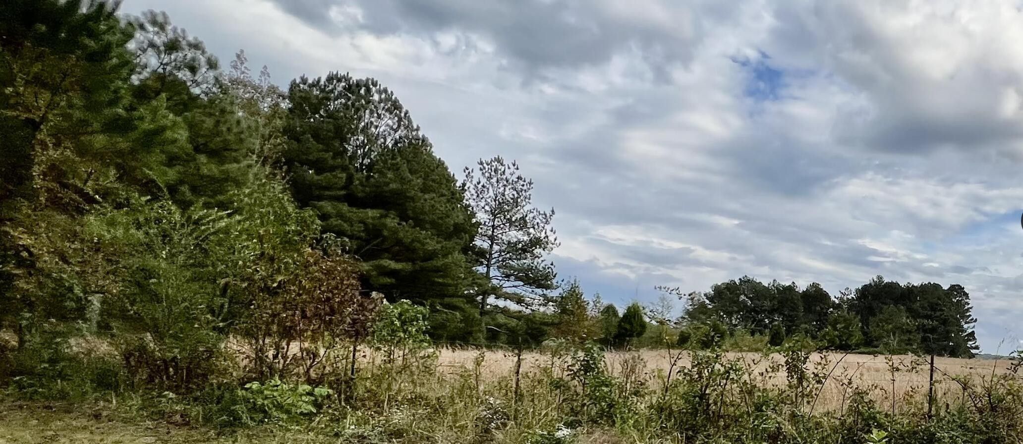 Summerville, Chattooga County, GA Undeveloped Land for sale Property ID