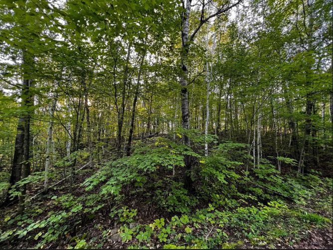 Garrison, Mille Lacs County, MN Recreational Property, Homesites for