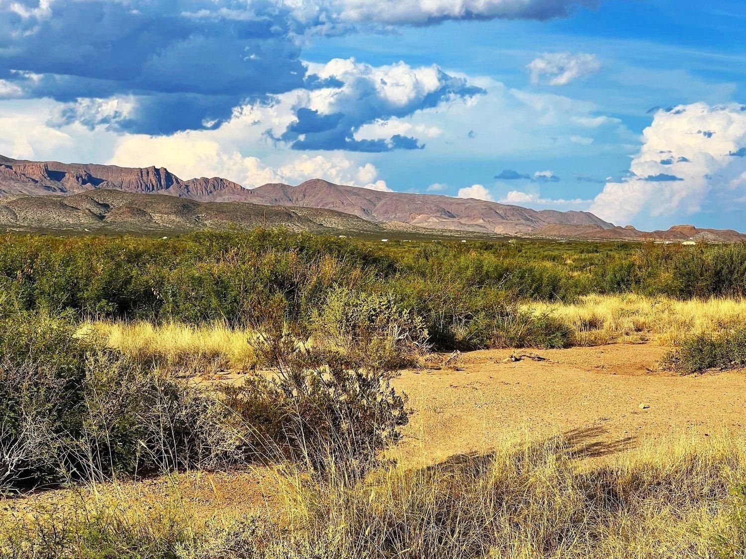 Alpine, Brewster County, TX Recreational Property, Undeveloped Land for