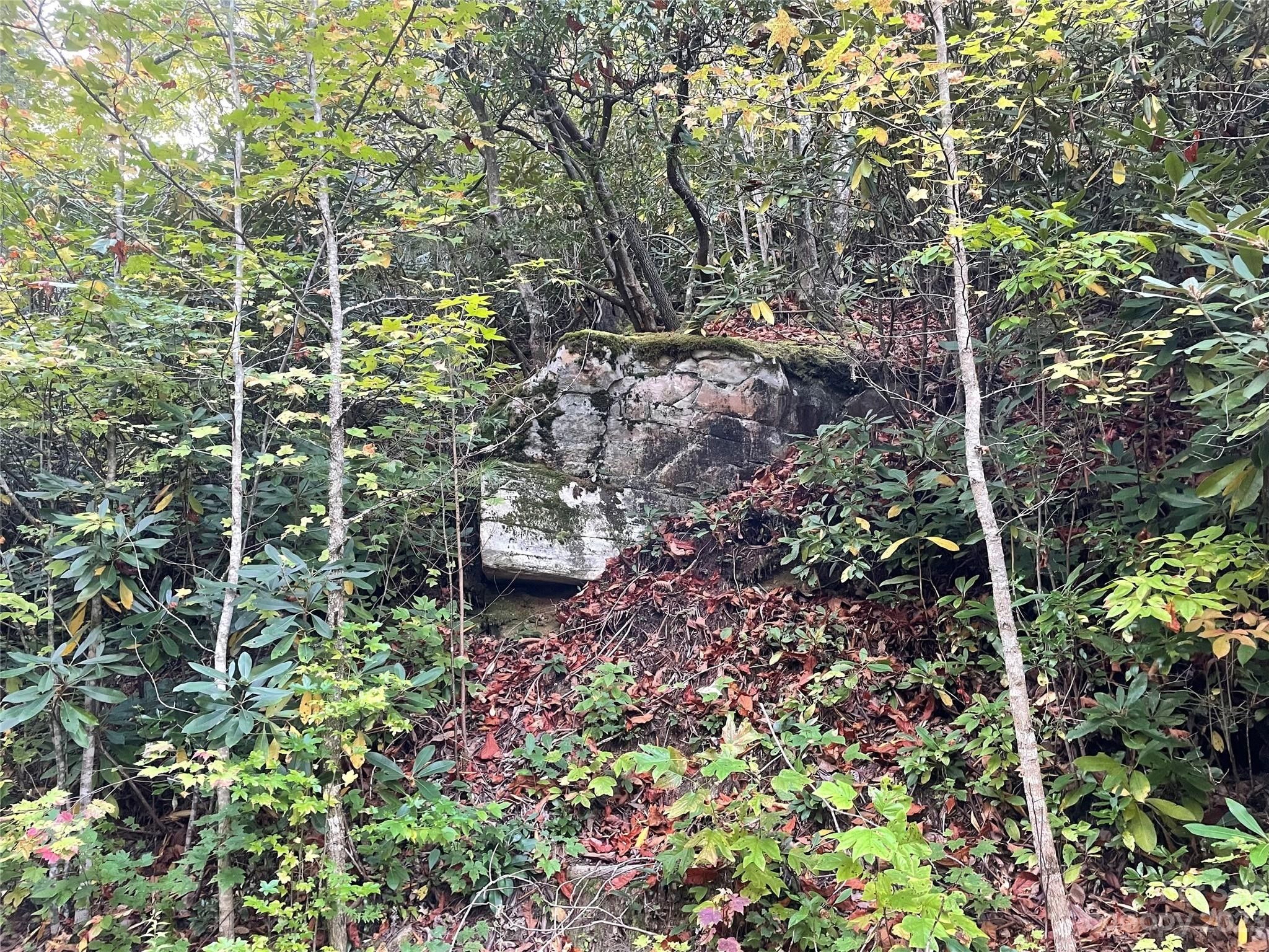 Marion, McDowell County, NC Undeveloped Land, Homesites for sale