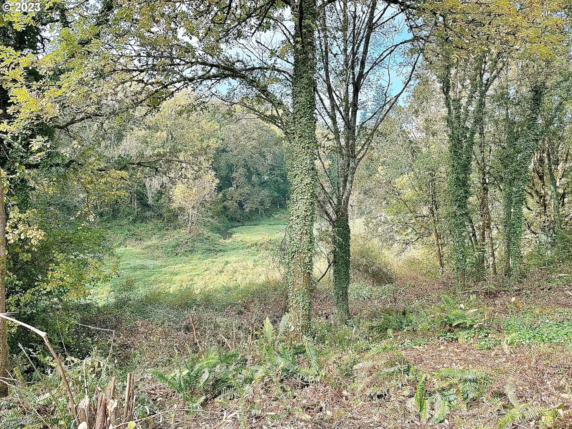 Newberg, Yamhill County, OR Undeveloped Land, Homesites for sale