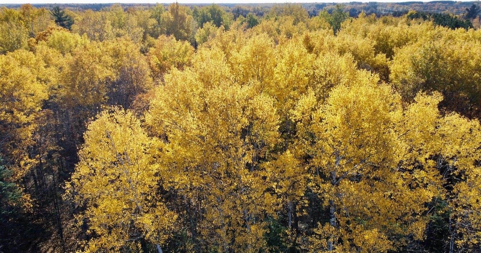 Cromwell, Carlton County, MN Undeveloped Land for sale Property ID