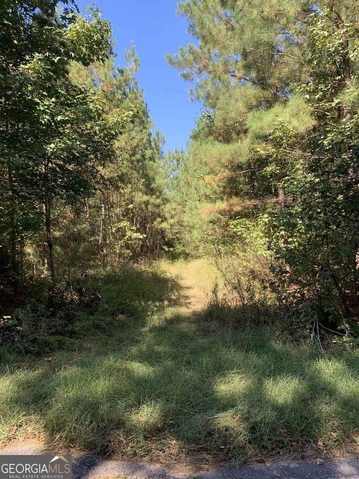 Hampton, Henry County, GA Undeveloped Land for sale Property ID