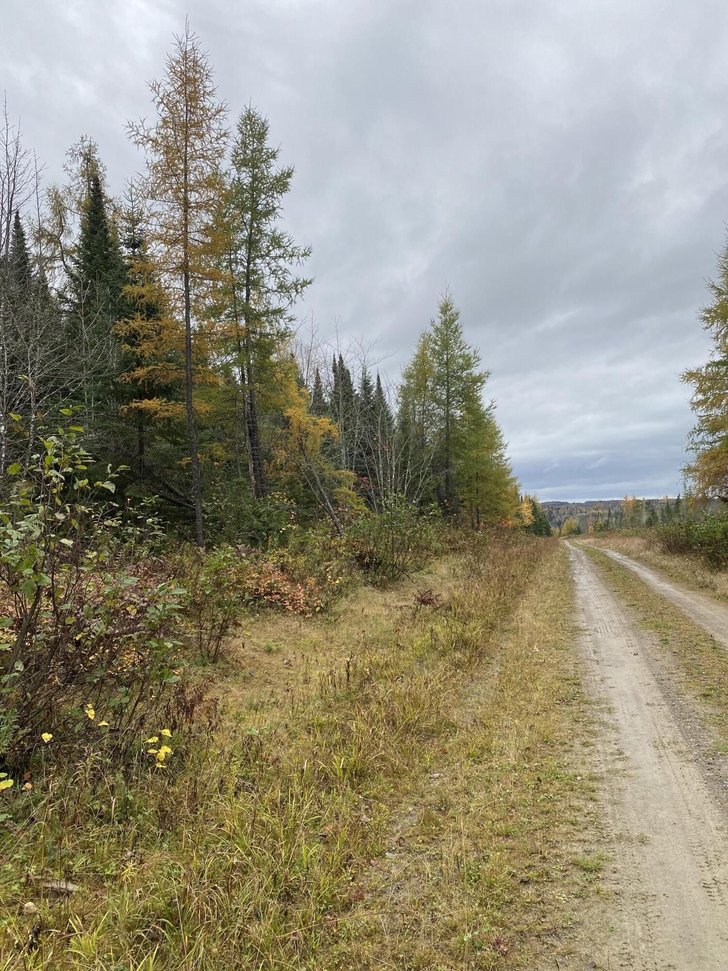 Caribou, Aroostook County, ME Undeveloped Land for sale Property ID