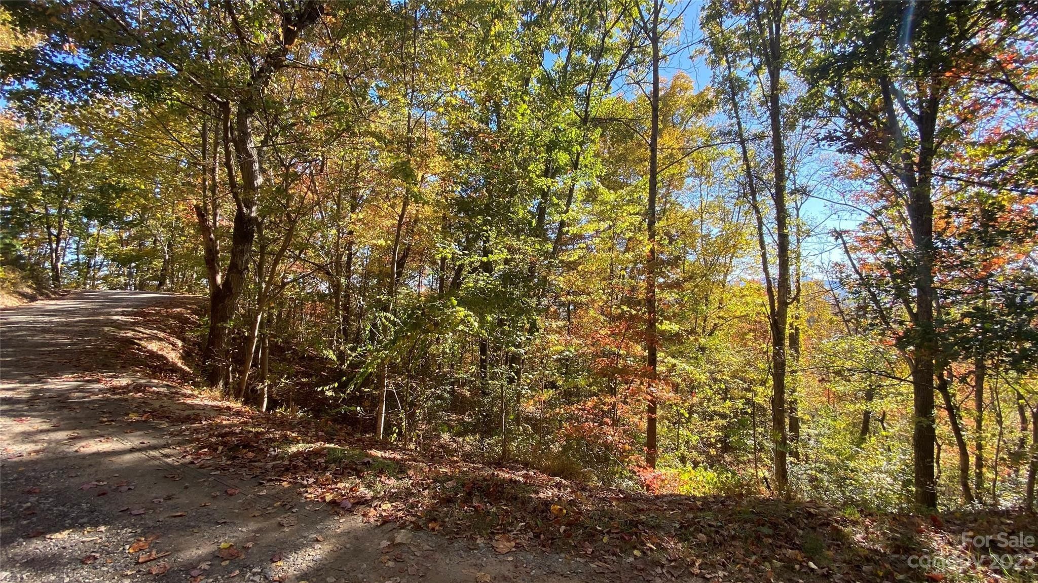 Tbd Mountain View Road, Asheville, NC 28806 MLS 4076098 LandWatch