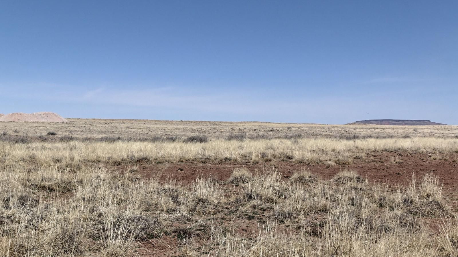 5 acres in Joseph City, AZ, 86032 LandWatch