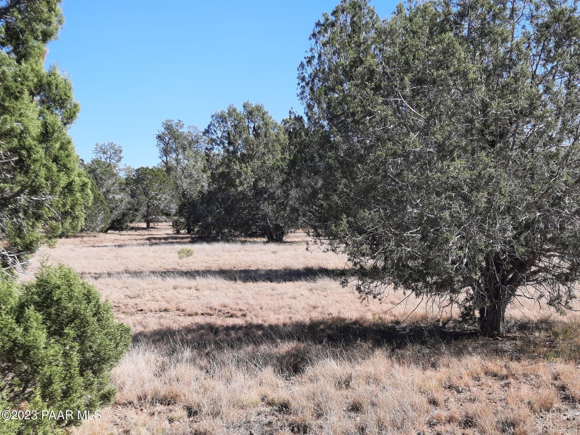 Seligman, Yavapai County, AZ Undeveloped Land for sale Property ID