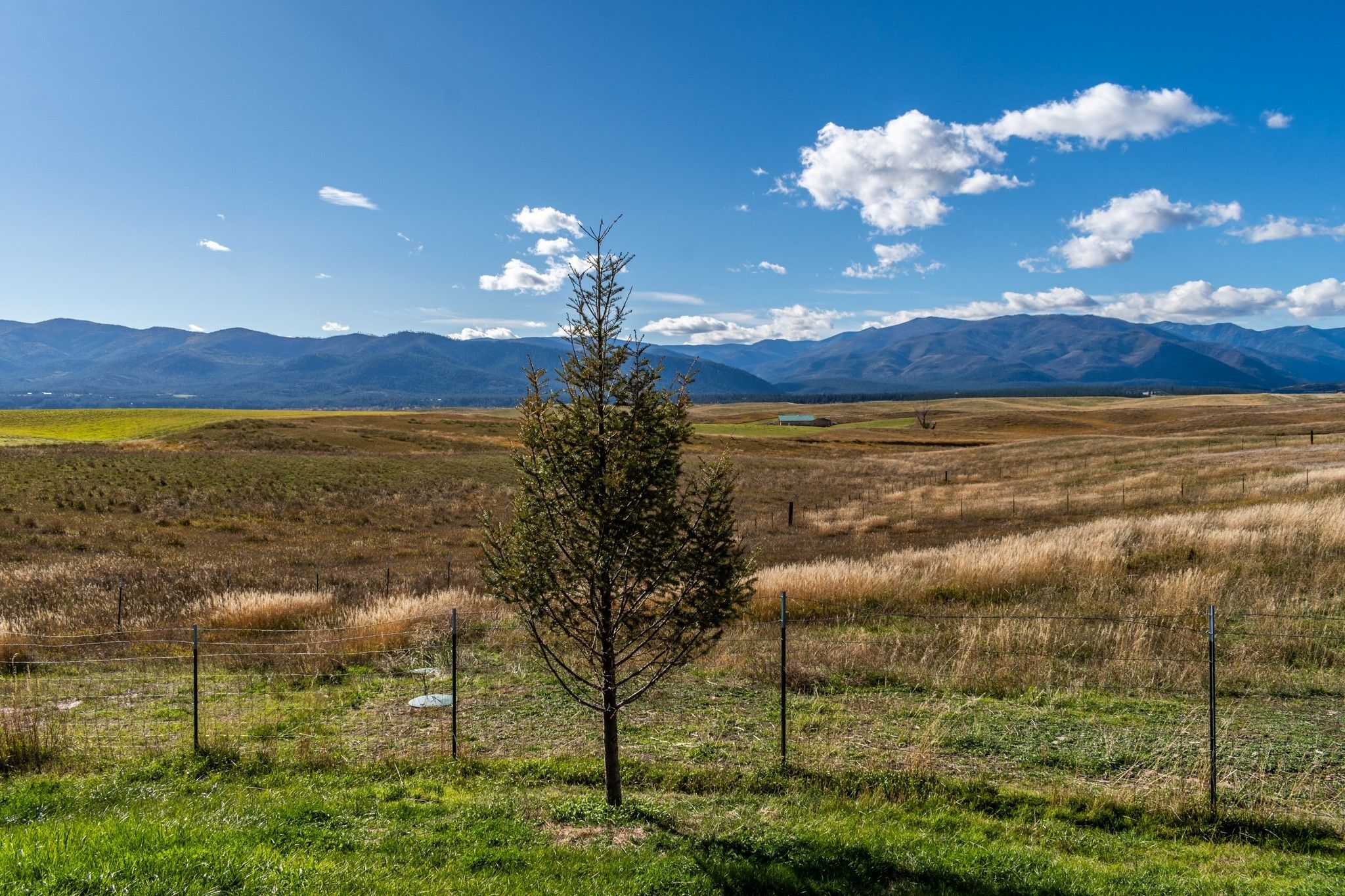 211 Upper Lynch Creek Road, Plains, MT 59859 MLS 30015595 LandWatch