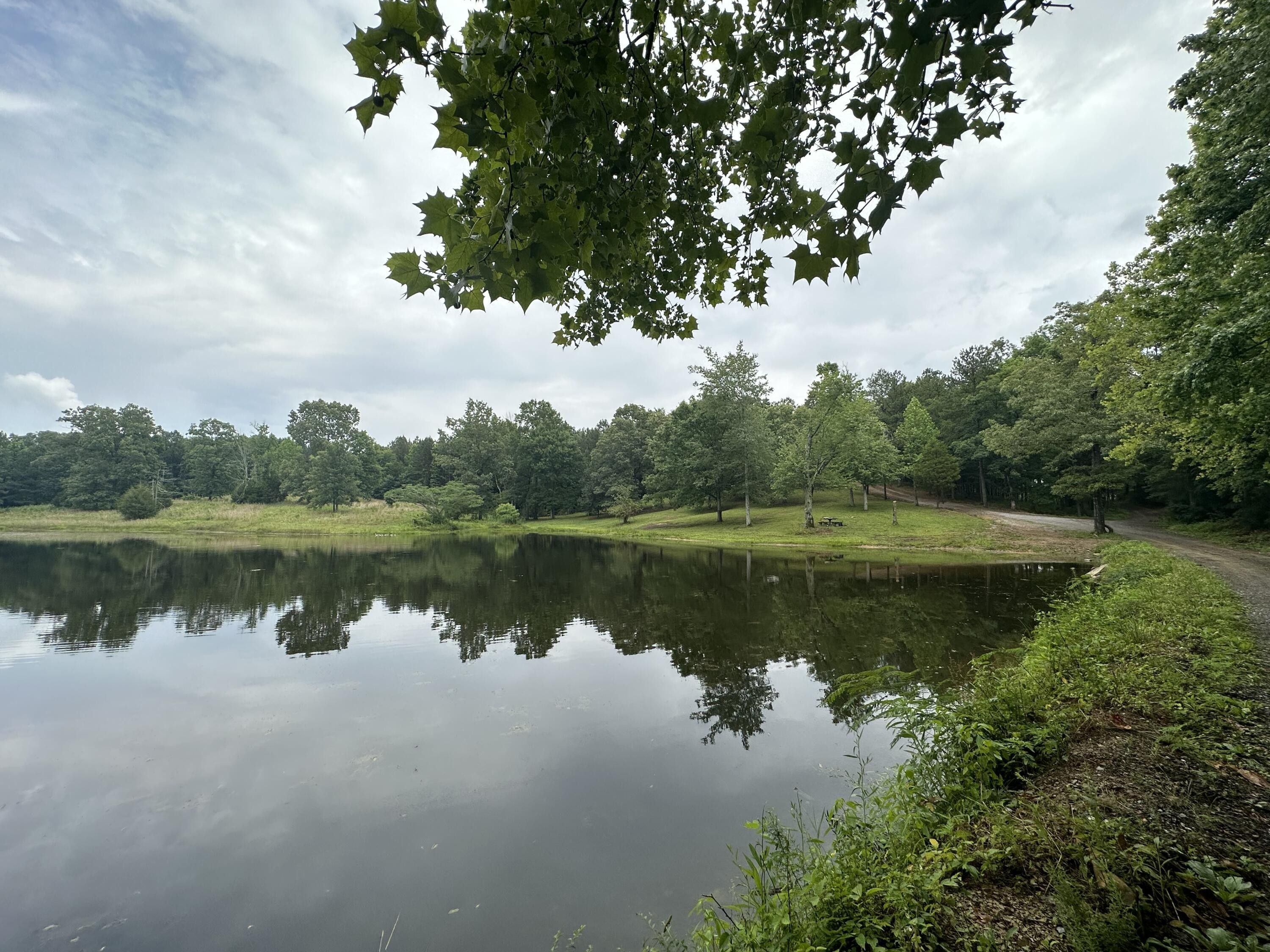 Cleveland, Bradley County, TN Lakefront Property, Waterfront Property