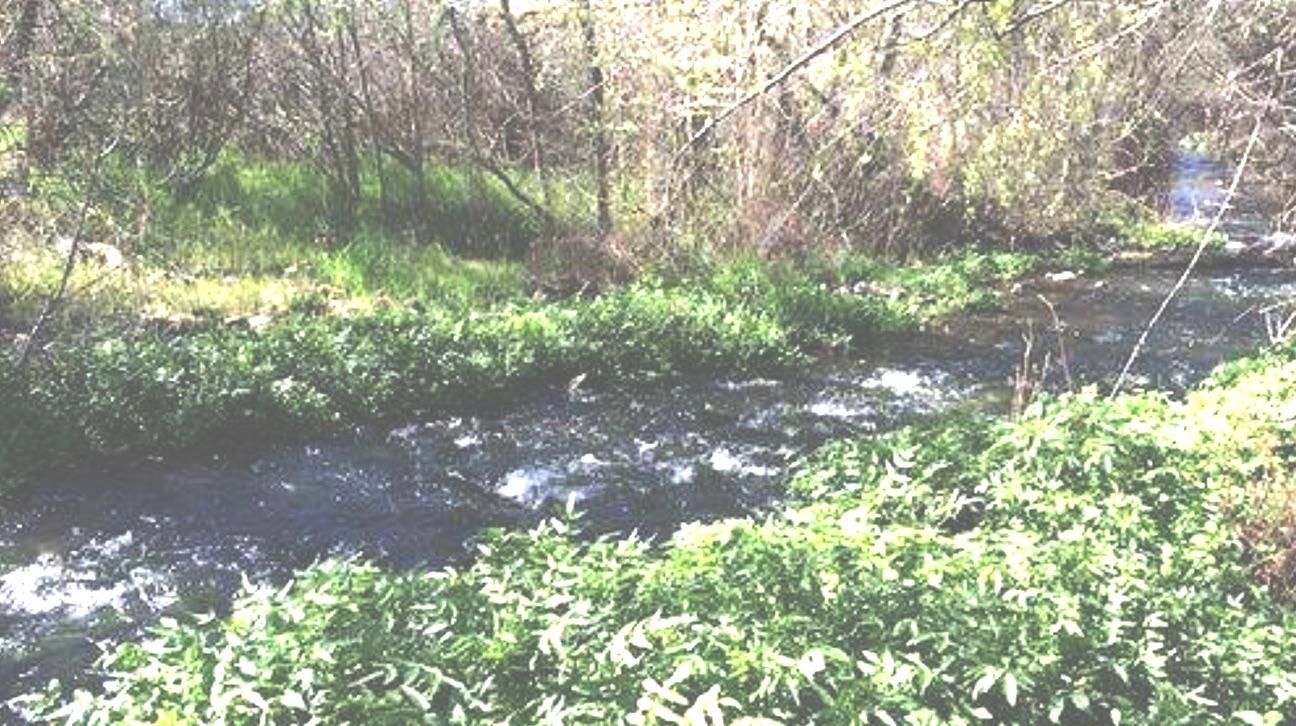 Vail, Eagle County, CO Recreational Property, Riverfront Property