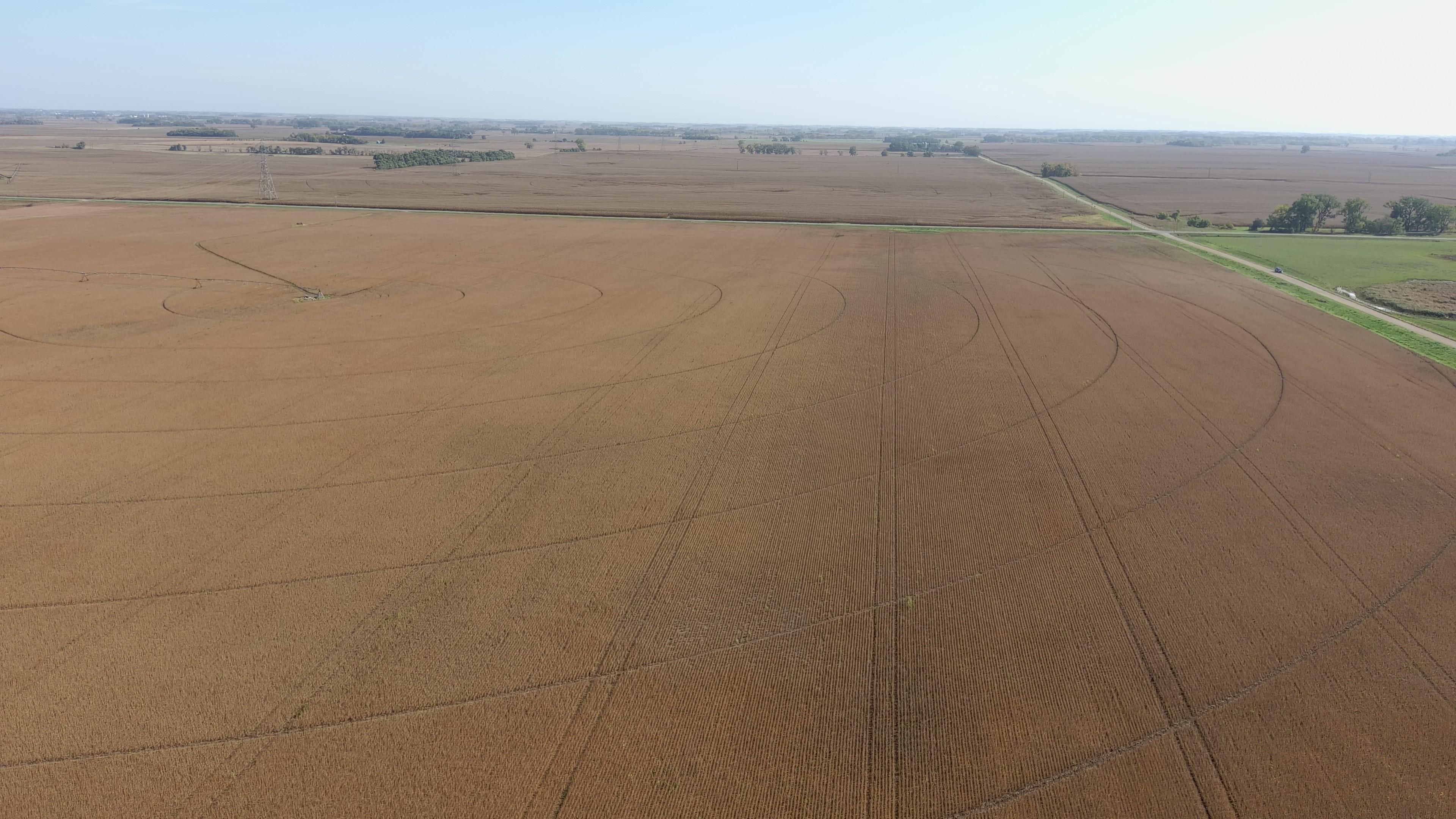 Canby, Lac qui Parle County, MN Farms and Ranches for auction Property