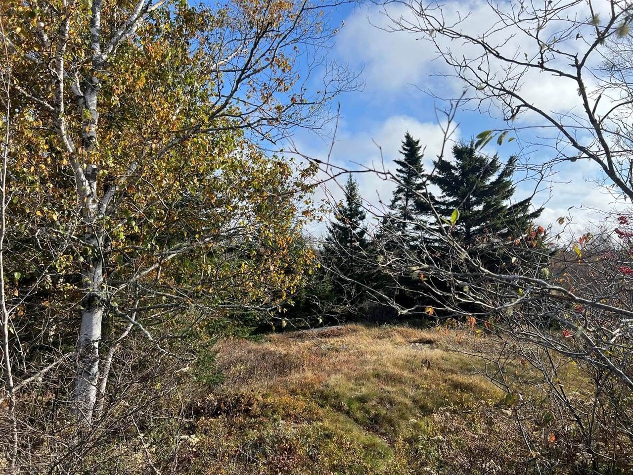Jonesport, Washington County, ME Undeveloped Land, Homesites for sale