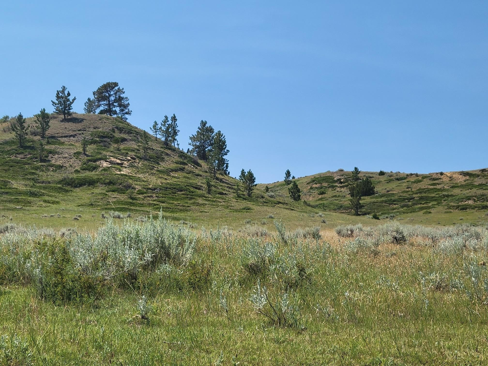 Miles City, Custer County, MT Recreational Property, Undeveloped Land