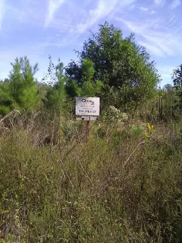 Milam, Sabine County, TX Undeveloped Land for sale Property ID