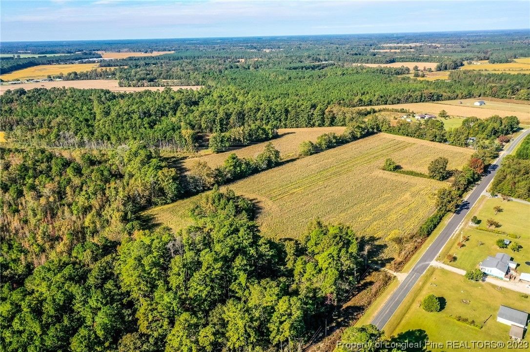 Rowland, Robeson County, NC Undeveloped Land for sale Property ID