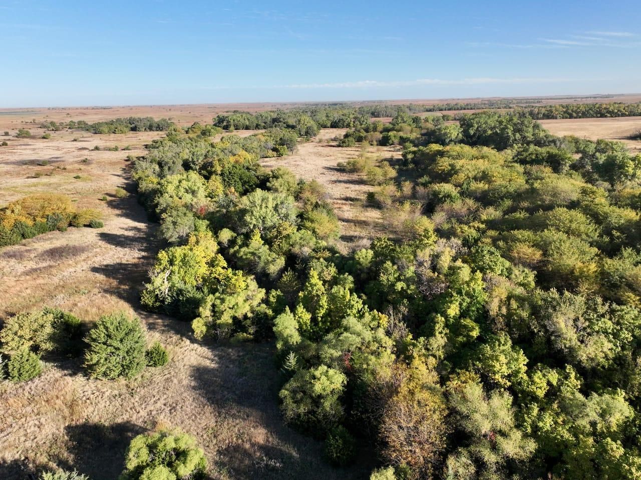 Coldwater, Comanche County, KS Hunting Property for auction Property ID