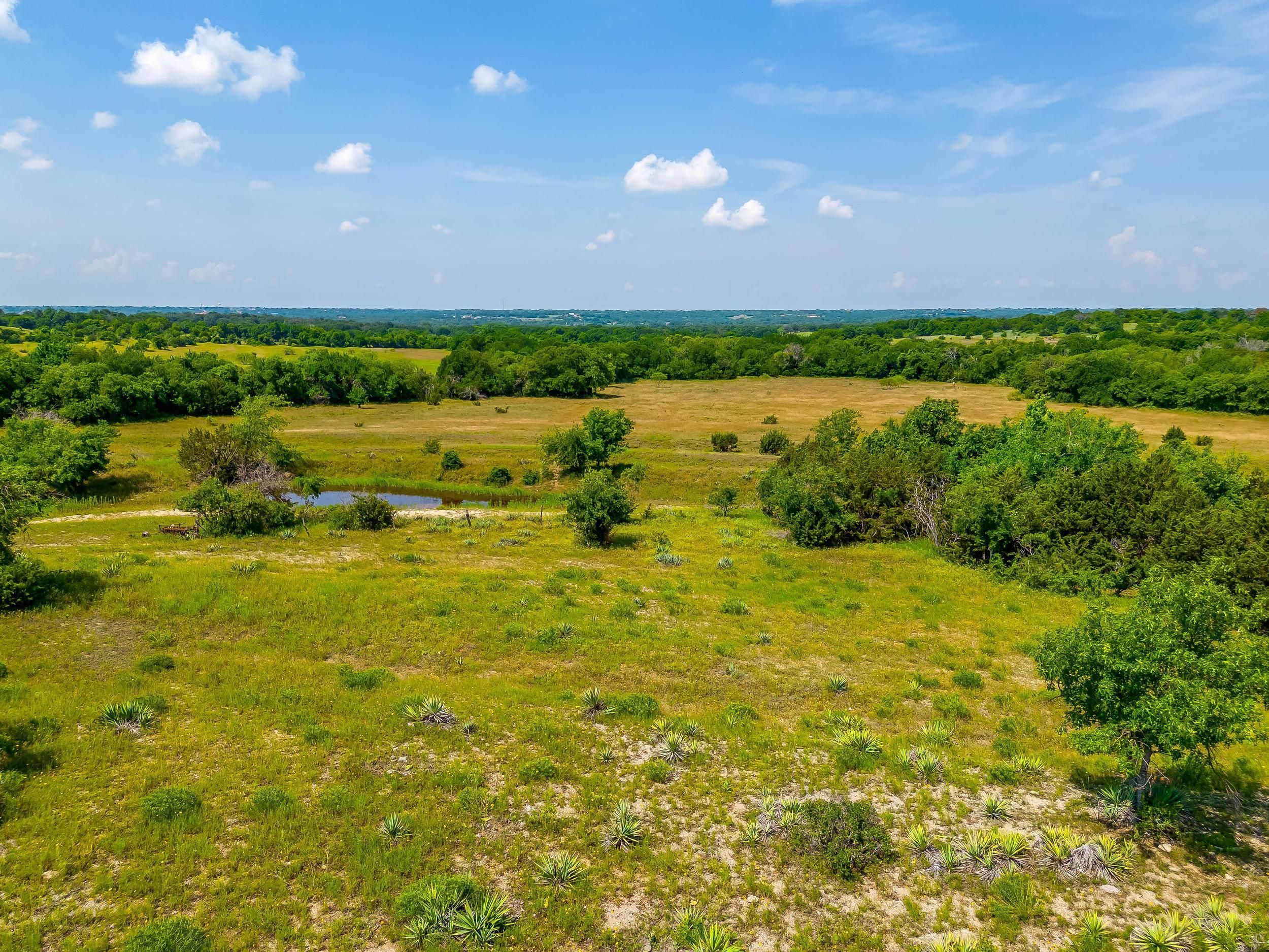 Weatherford, Parker County, TX Farms and Ranches, Undeveloped Land for