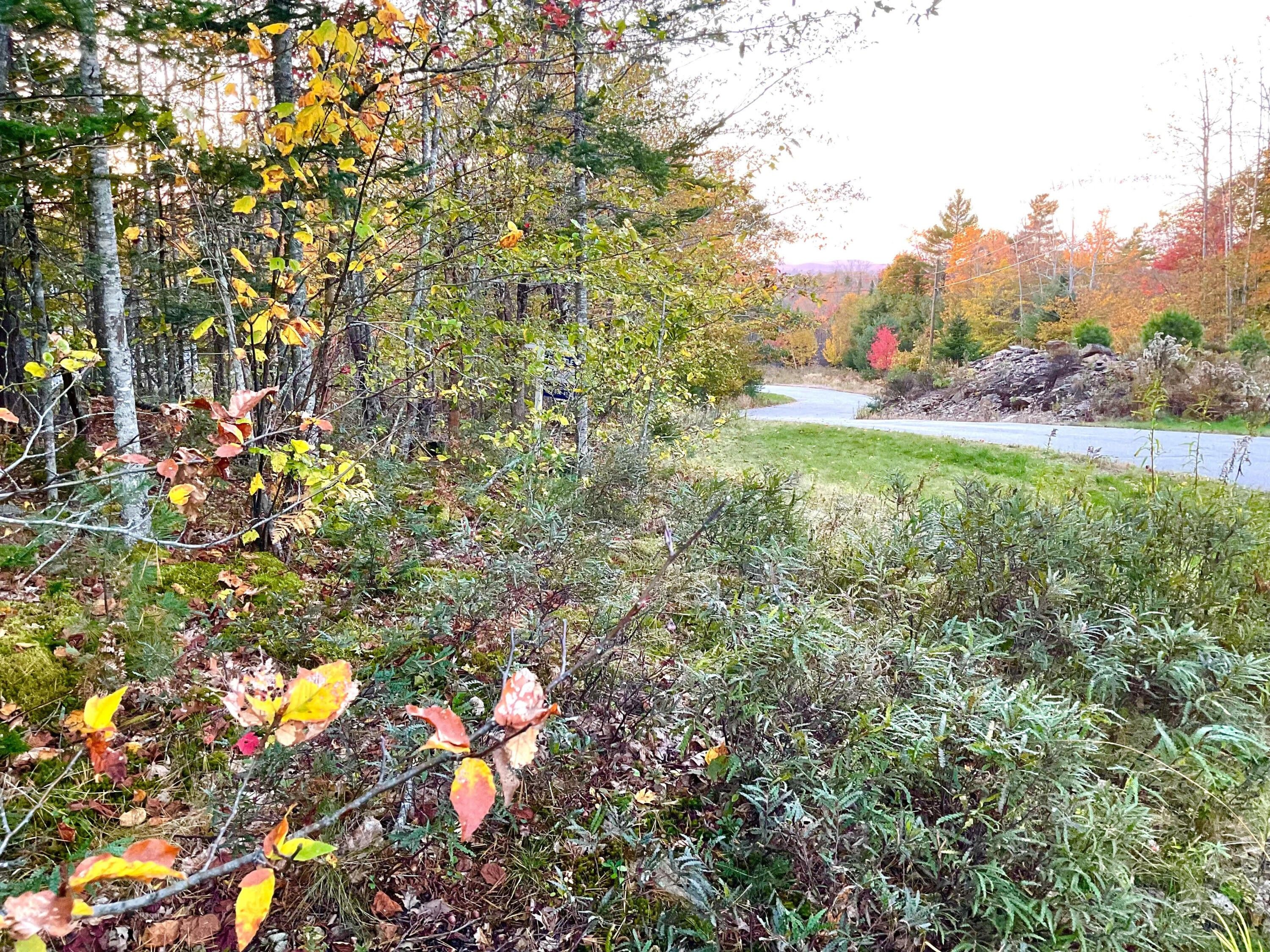 Bucksport, Hancock County, ME Undeveloped Land, Homesites for sale