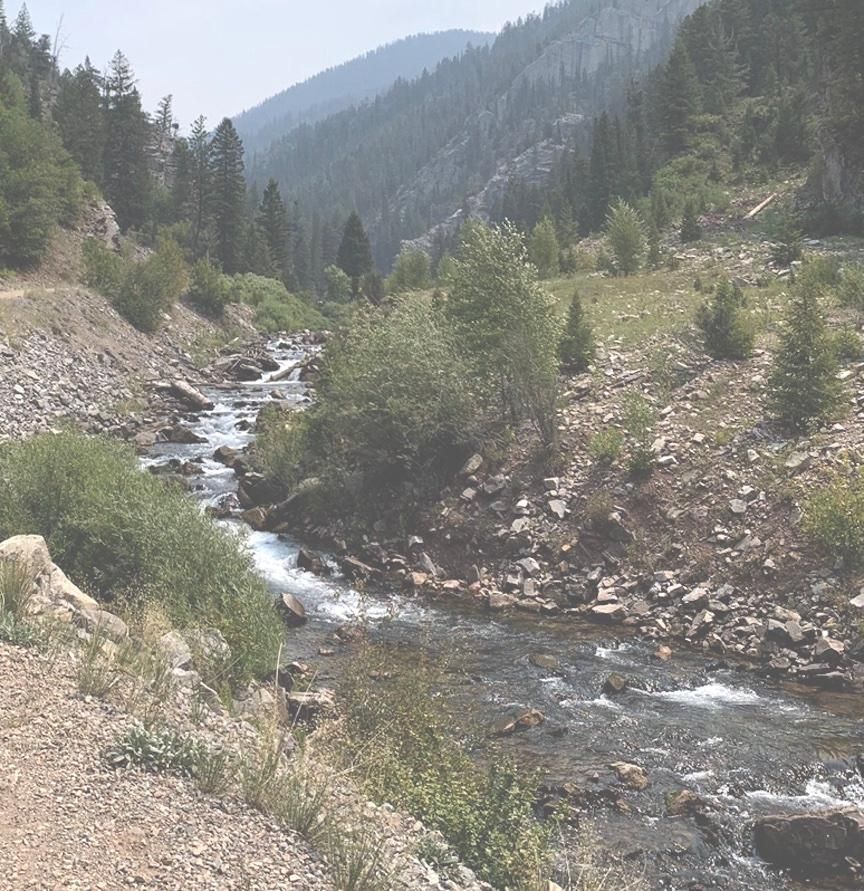 Cody, Park County, WY Recreational Property, Riverfront Property