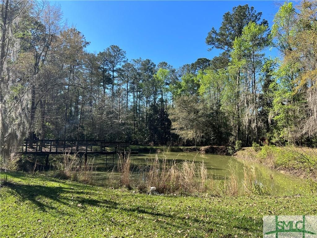 Townsend, McIntosh County, GA Lakefront Property, Waterfront Property