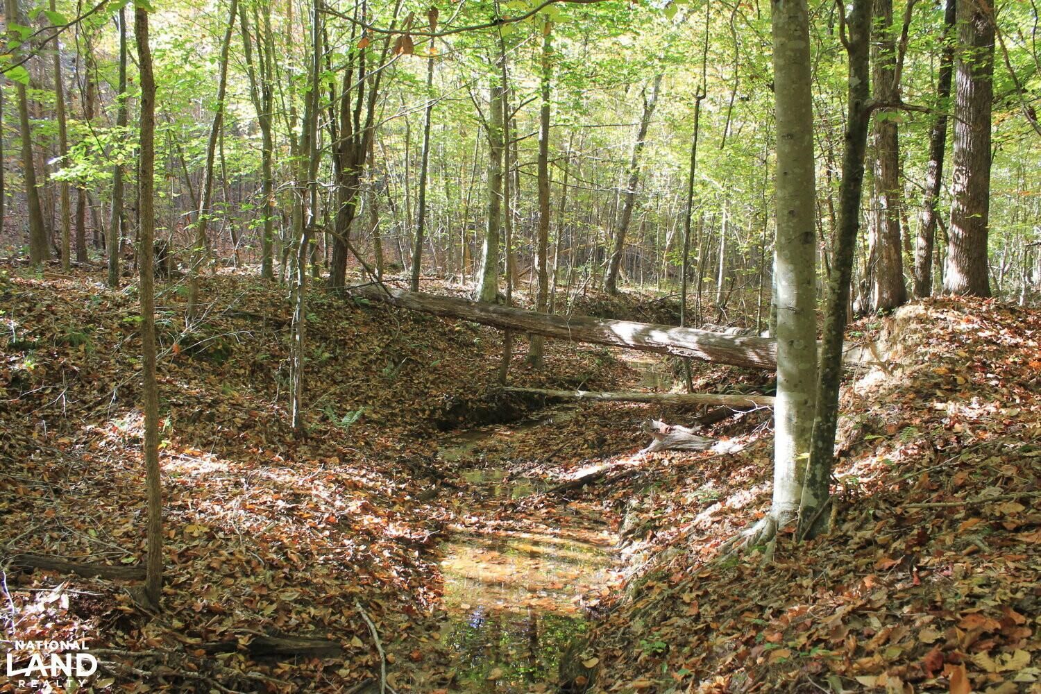 Powhatan, Powhatan County, VA Recreational Property, Undeveloped Land
