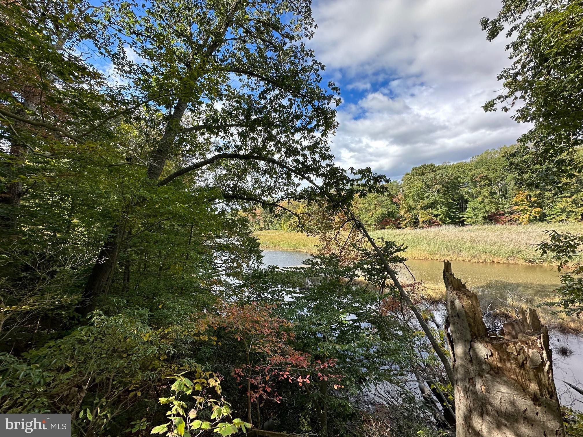 23628 CANVASBACK ROAD, Chestertown, MD 21620 MLS MDKE2003190 LandWatch