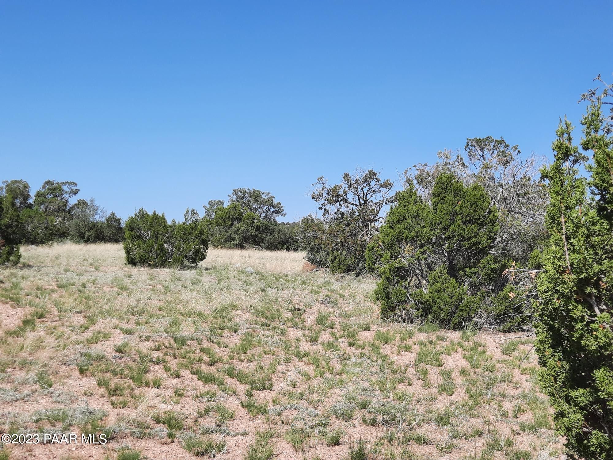 Seligman, Yavapai County, AZ Undeveloped Land for sale Property ID