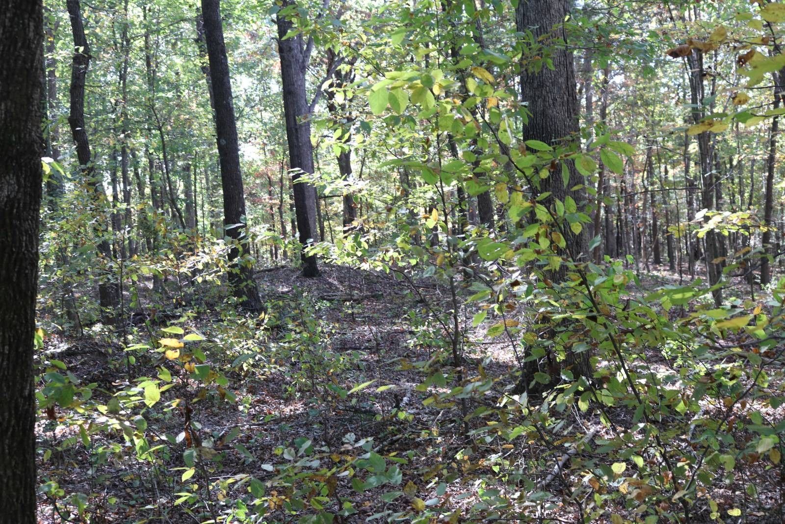 Greenville, Muhlenberg County, KY Farms and Ranches for sale Property ID 418073412 LandWatch