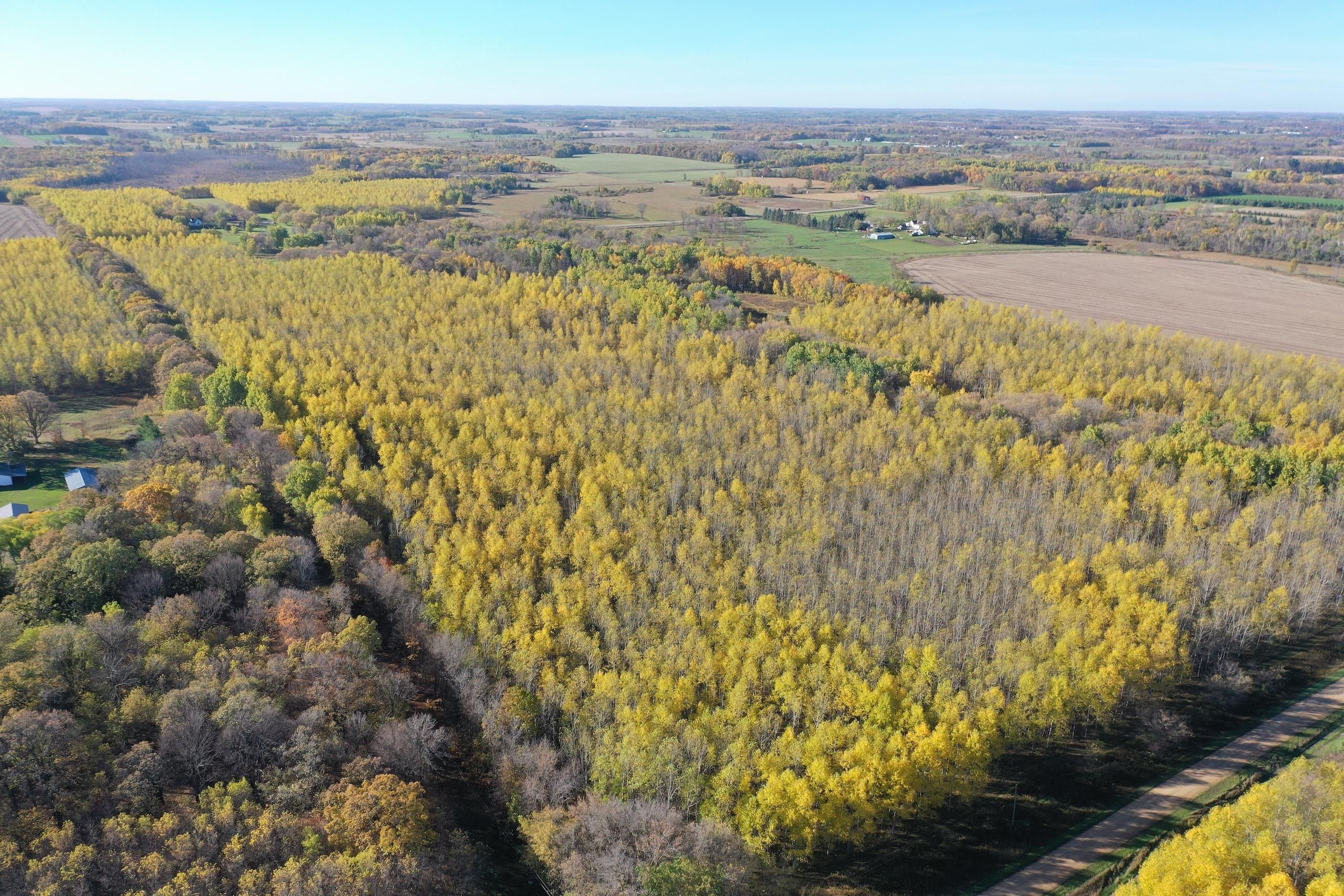 Browerville, Todd County, MN Recreational Property, Hunting Property for sale Property ID