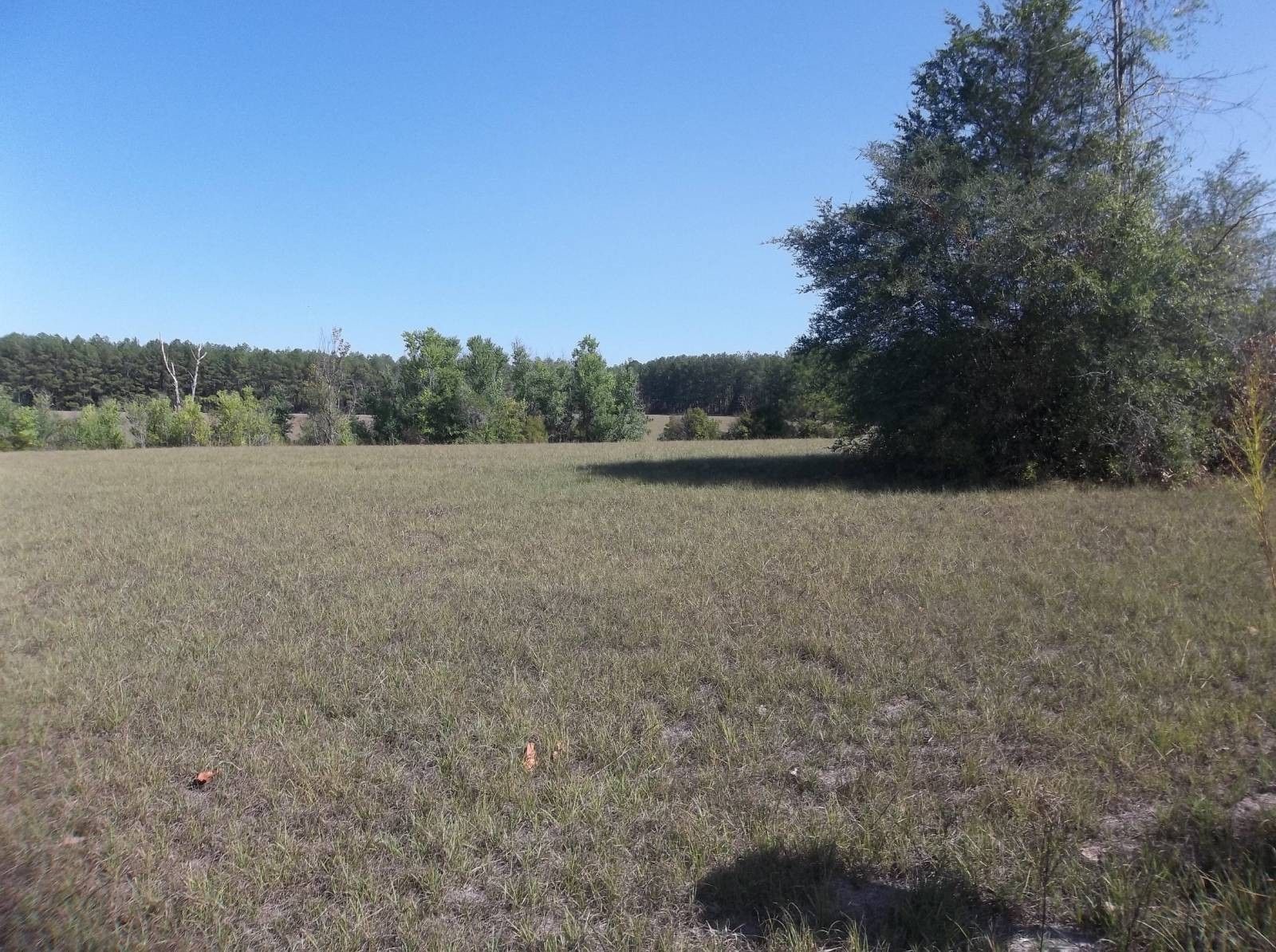 Hornbeck, Vernon Parish, LA Undeveloped Land for sale Property ID