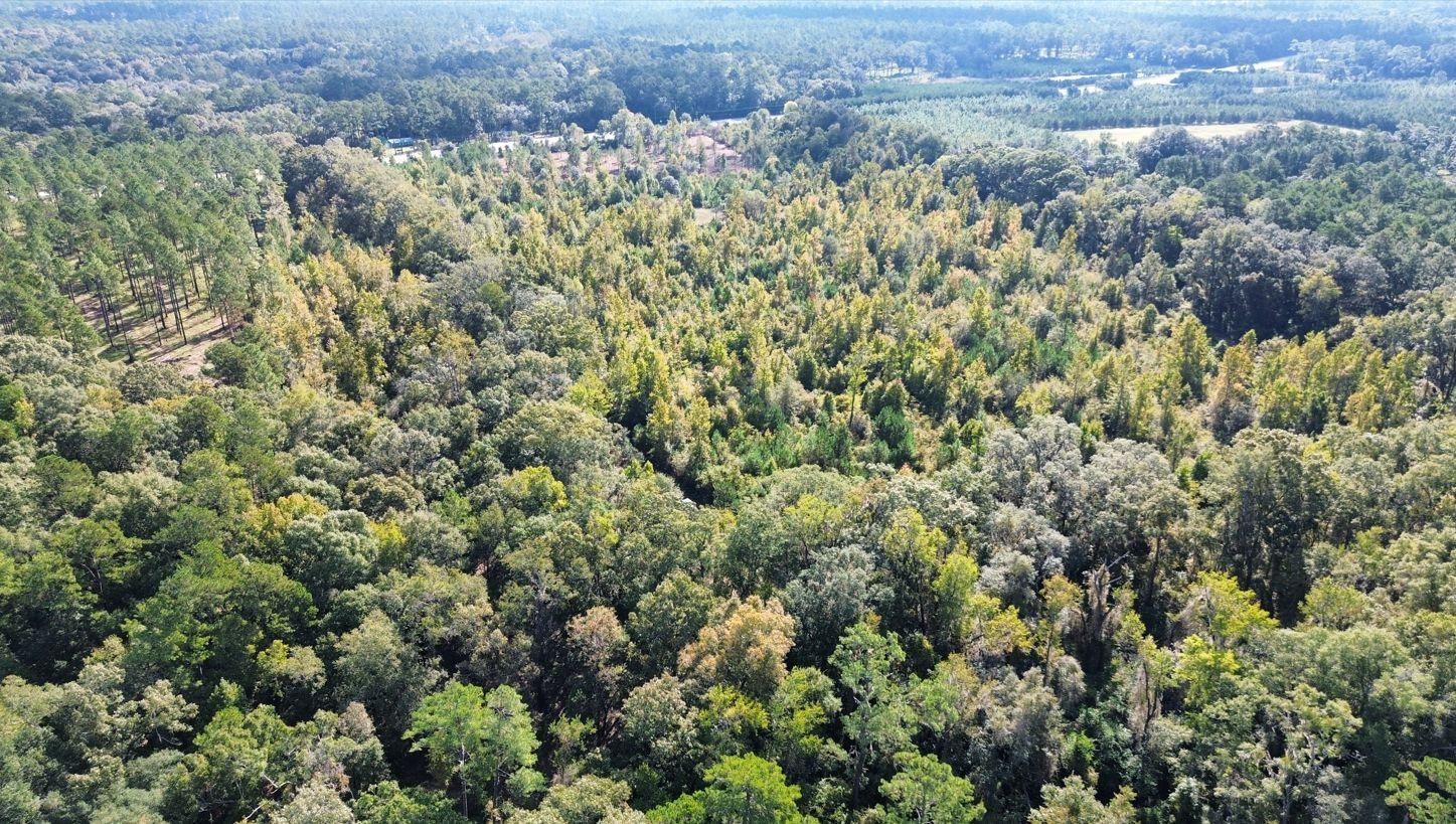 United States, Thomasville, GA 31792 MLS A922473A LandWatch