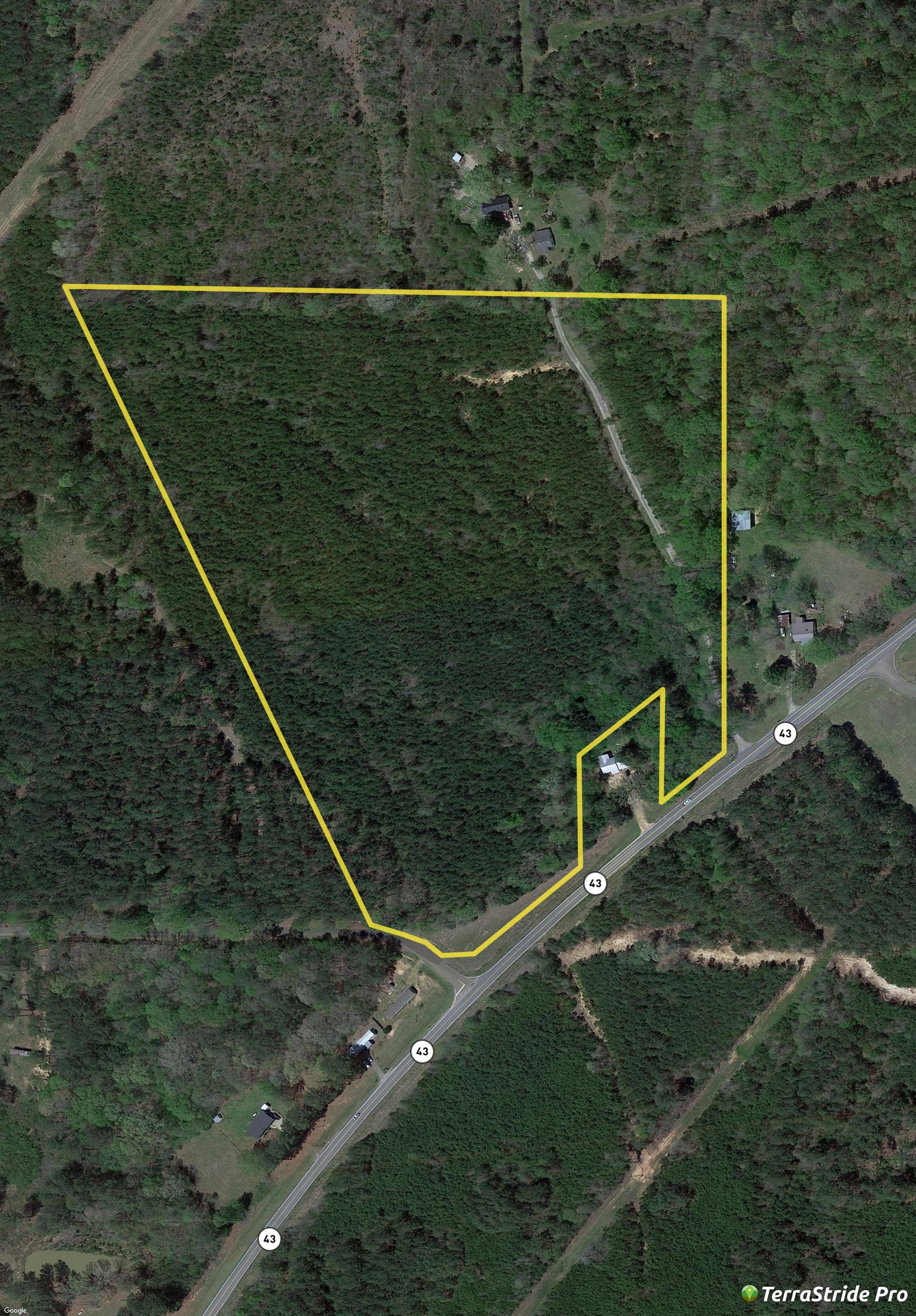 Camden, Madison County, MS Timberland Property, Hunting Property for