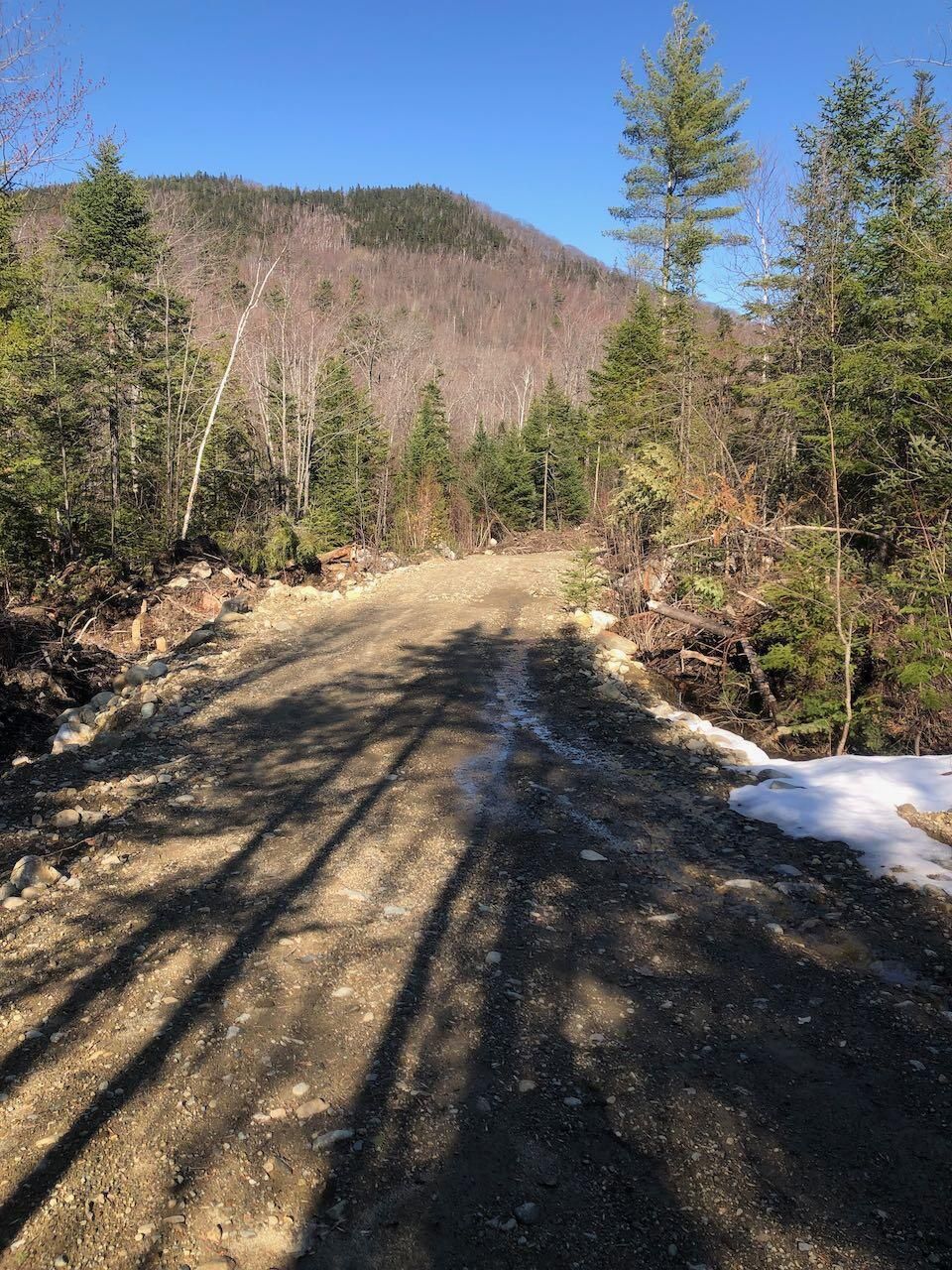 Perkins Town, Franklin County, ME Timberland Property, Undeveloped Land
