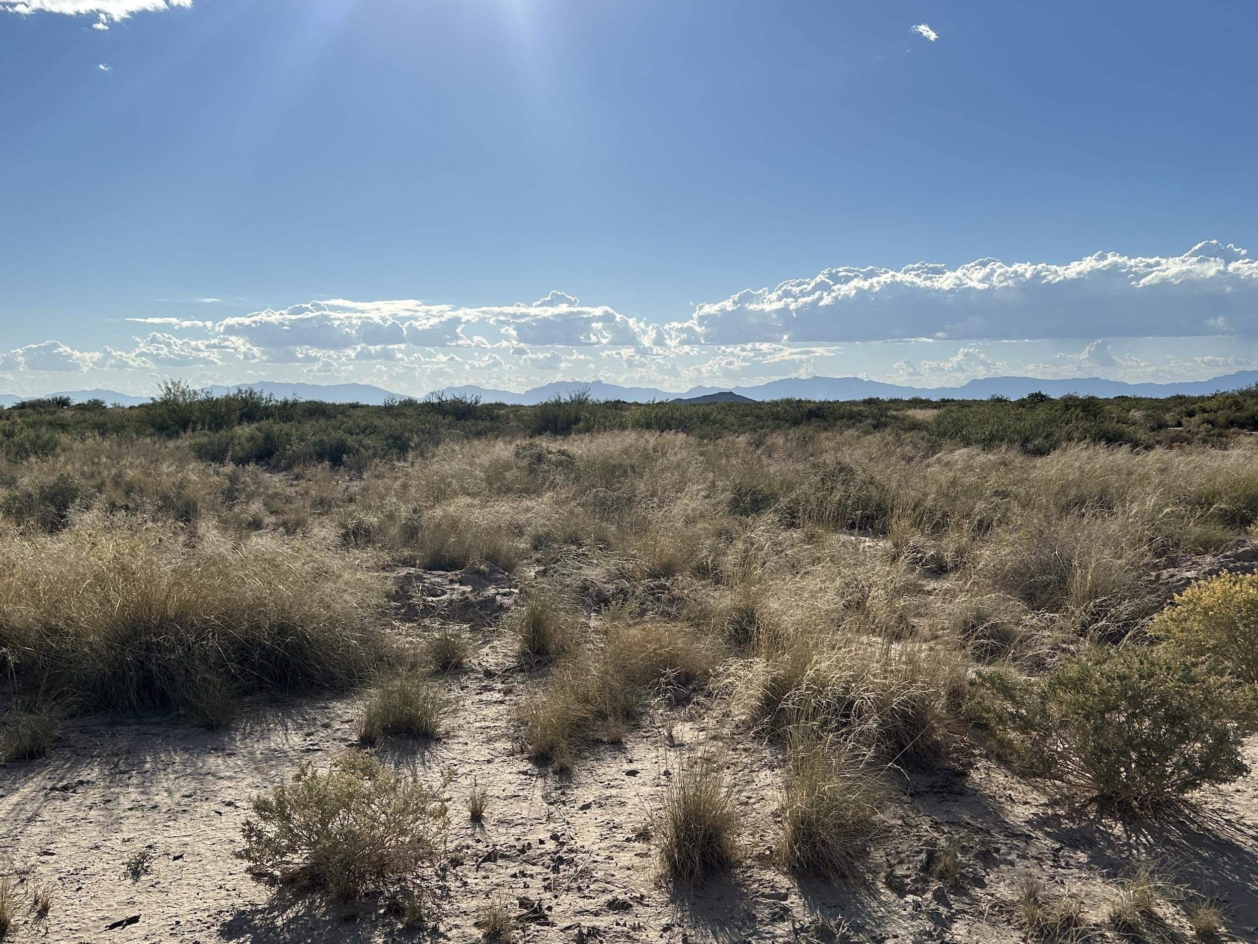 Tularosa, Otero County, NM Undeveloped Land for sale Property ID